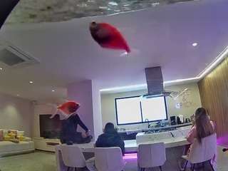 voyeurcam-casa-salsa-fishtank live cam profile