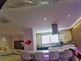 voyeurcam-casa-salsa-fishtank live cam profile