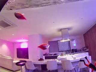 voyeurcam casa salsa fishtank