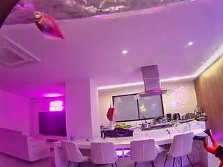 voyeurcam-casa-salsa-fishtank