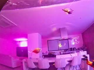 voyeurcam-casa-salsa-fishtank live cam profile