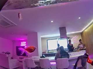 voyeurcam-casa-salsa-fishtank live cam profile