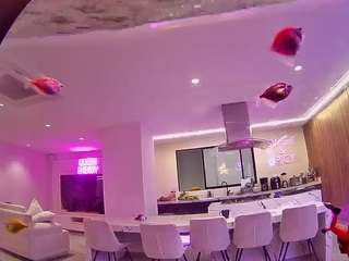 voyeurcam-casa-salsa-fishtank live cam profile