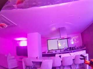 voyeurcam-casa-salsa-fishtank live cam profile