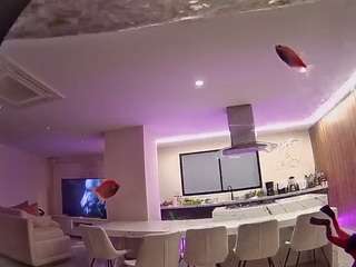 voyeurcam-casa-salsa-fishtank