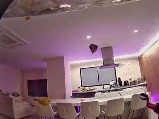 voyeurcam-casa-salsa-fishtank