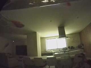 voyeurcam-casa-salsa-fishtank