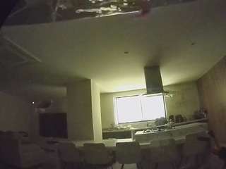 voyeurcam-casa-salsa-fishtank