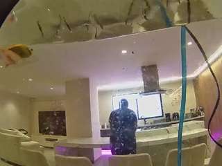 voyeurcam-casa-salsa-fishtank