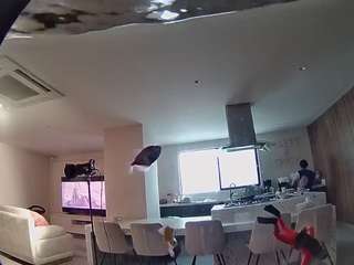 voyeurcam-casa-salsa-fishtank