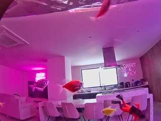 voyeurcam-casa-salsa-fishtank