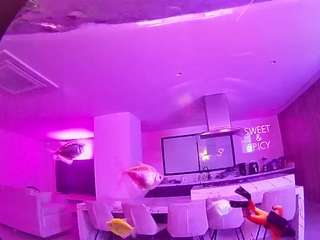 voyeurcam-casa-salsa-fishtank