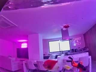 voyeurcam-casa-salsa-fishtank