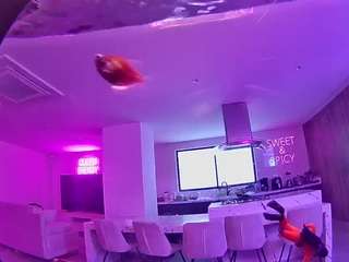 voyeurcam-casa-salsa-fishtank