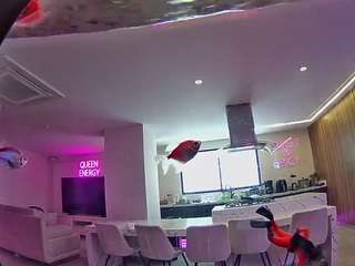 voyeurcam-casa-salsa-fishtank