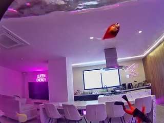 voyeurcam-casa-salsa-fishtank