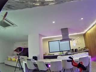 voyeurcam-casa-salsa-fishtank