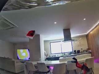 voyeurcam-casa-salsa-fishtank