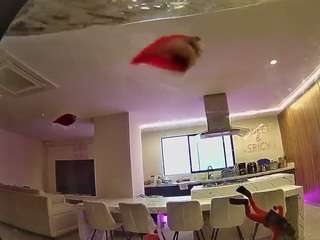 voyeurcam-casa-salsa-fishtank
