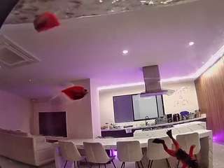 voyeurcam-casa-salsa-fishtank