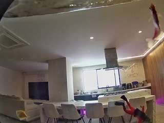 voyeurcam casa salsa fishtank