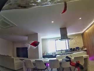 voyeurcam-casa-salsa-fishtank