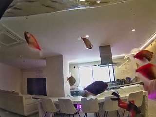 voyeurcam-casa-salsa-fishtank