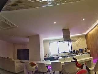 voyeurcam-casa-salsa-fishtank