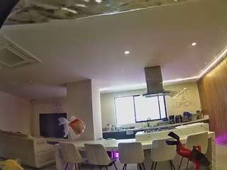voyeurcam-casa-salsa-fishtank