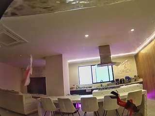 voyeurcam-casa-salsa-fishtank