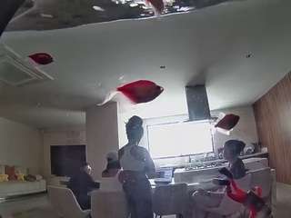 voyeurcam-casa-salsa-fishtank