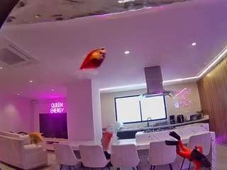 voyeurcam-casa-salsa-fishtank