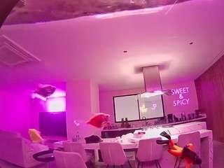 voyeurcam-casa-salsa-fishtank