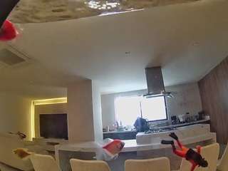 voyeurcam-casa-salsa-fishtank