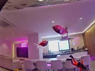 voyeurcam-casa-salsa-fishtank