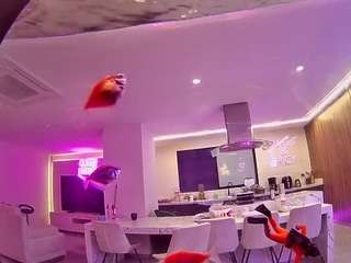 voyeurcam-casa-salsa-fishtank