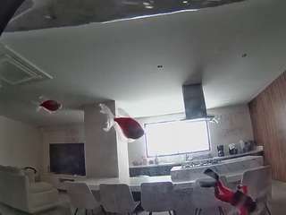 voyeurcam-casa-salsa-fishtank