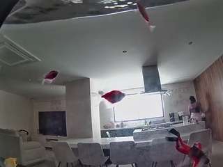 voyeurcam-casa-salsa-fishtank