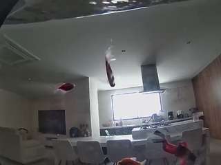 voyeurcam-casa-salsa-fishtank