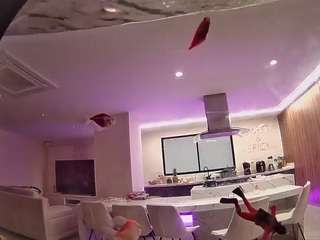 voyeurcam-casa-salsa-fishtank webcam