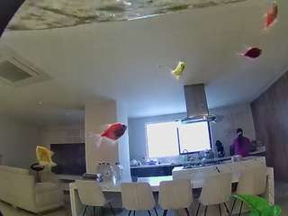 voyeurcam-casa-s... Live Webcam on CamSoda