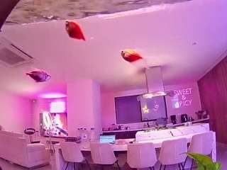voyeurcam-casa-salsa-fishtank Profile Image