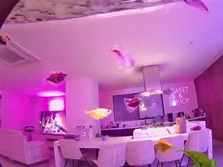 voyeurcam-casa-salsa-fishtank Profile Image