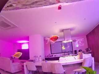 voyeurcam-casa-salsa-fishtank