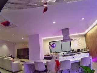 voyeurcam casa salsa fishtank