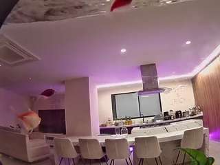 voyeurcam-casa-salsa-fishtank