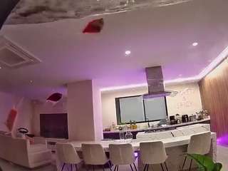 voyeurcam-casa-salsa-fishtank