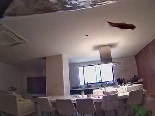 voyeurcam-casa-s... Live Webcam on CamSoda