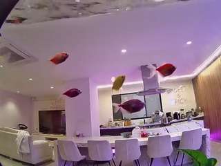 voyeurcam-casa-salsa-fishtank