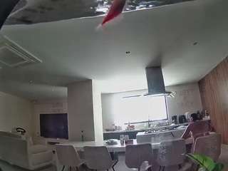 voyeurcam-casa-s... Live Webcam on CamSoda